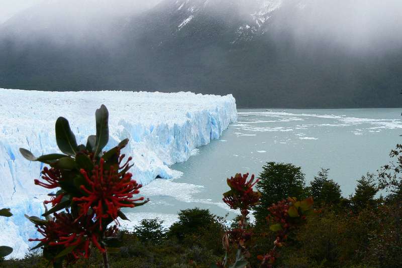 35 Ghiacciaio Perito Moreno